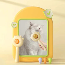 Load image into Gallery viewer, Rengjøringsbørste for dyrehår