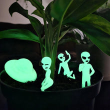 Load image into Gallery viewer, Cute Glow In The Dark Plant Accessory