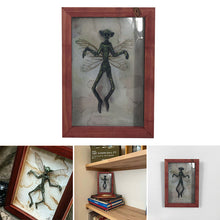 Load image into Gallery viewer, Mysterious Mummified Fairy in Frame