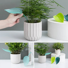 Load image into Gallery viewer, Funny Watering Leaves (6pcs)