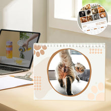 Load image into Gallery viewer, Funniest calendar of the century | Funny Cat Calendar 2024