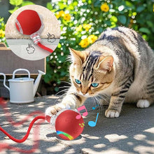Load image into Gallery viewer, Interaktiv oppladbar ball katte- og hundeleke