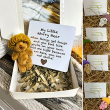 Load image into Gallery viewer, Children’s Worry Bear Gift