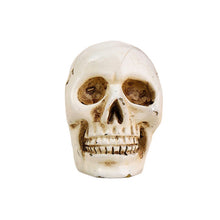Load image into Gallery viewer, Halloween Skull Design Card Holder