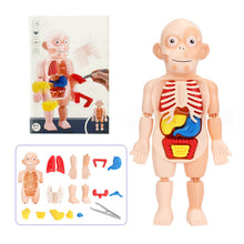 Load image into Gallery viewer, Children's Enlightenment Toys