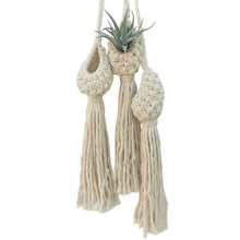 Load image into Gallery viewer, Macrame Hanging Planter Indoor For Air Plant