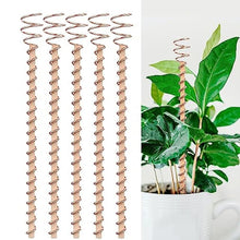 Load image into Gallery viewer, Electro Culture Copper Antenna