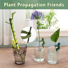 Load image into Gallery viewer, Plant Propagation Buddy