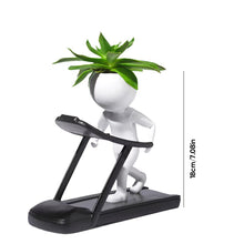 Load image into Gallery viewer, Sporting Succulents Potted Plants