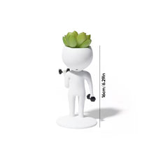 Load image into Gallery viewer, Sporting Succulents Potted Plants