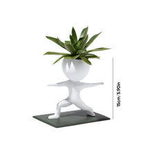 Load image into Gallery viewer, Sporting Succulents Potted Plants