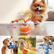 Load image into Gallery viewer, Interaktiv smart rullende ball for kjæledyr