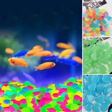 Load image into Gallery viewer, Glow In The Dark Rocks