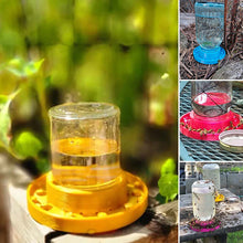 Load image into Gallery viewer, Bee Feeder For Regular Mouth Mason Jar