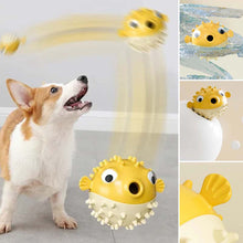 Load image into Gallery viewer, Dog Clownfish Chewing Toy