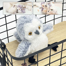 Load image into Gallery viewer, Rechargeable, Interactive Cat Exercise Toys, Lifelike Bird