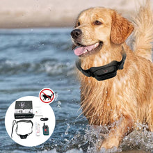 Load image into Gallery viewer, Dog Training Collar