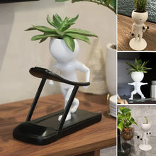 Load image into Gallery viewer, Sporting Succulents Potted Plants