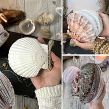 Load image into Gallery viewer, Abalone Shell/Lion’s Paw Shell/Scallop Shell Journal