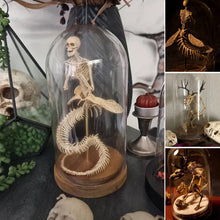 Load image into Gallery viewer, Skeleton Curiosity Cabinet