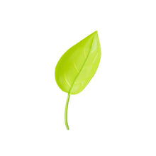 Load image into Gallery viewer, Funny Watering Leaves (6pcs)