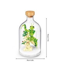 Load image into Gallery viewer, Insect Collection Building Blocks with Glass Display Bottle