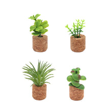 Load image into Gallery viewer, Succulent Air Freshener Vent Clips