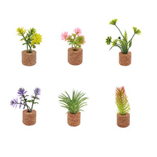 Load image into Gallery viewer, Succulent Air Freshener Vent Clips