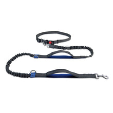 Load image into Gallery viewer, Hands Free Dog Leash