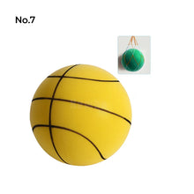 Load image into Gallery viewer, Handleshh Silent Basketball
