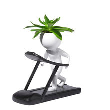 Load image into Gallery viewer, Sporting Succulents Potted Plants
