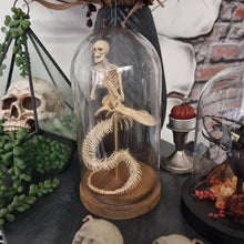 Load image into Gallery viewer, Skeleton Curiosity Cabinet