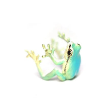 Load image into Gallery viewer, Latest-tree Frog Ring &amp; Earrings
