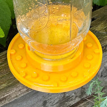Load image into Gallery viewer, Bee Feeder For Regular Mouth Mason Jar
