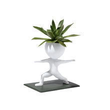 Load image into Gallery viewer, Sporting Succulents Potted Plants