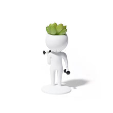 Load image into Gallery viewer, Sporting Succulents Potted Plants
