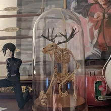 Load image into Gallery viewer, Skeleton Curiosity Cabinet