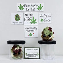 Load image into Gallery viewer, Adopter en Weed Nugget-plysj