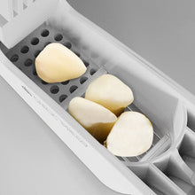 Load image into Gallery viewer, Garlic Press Stainless Steel