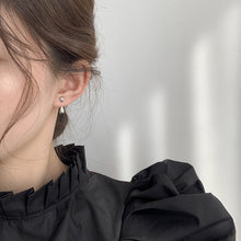 Load image into Gallery viewer, Glossy Drop Earrings