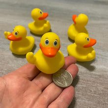 Load image into Gallery viewer, Fucktopus Rude Ducks