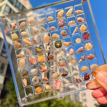 Load image into Gallery viewer, Acrylic Magnetic Display Box