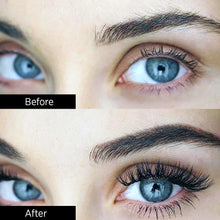 Load image into Gallery viewer, Reusable False Eyelashes (8 Pcs )