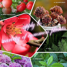 Load image into Gallery viewer, Home Gardening Universal Slow-Release Tablet Organic Fertilizer