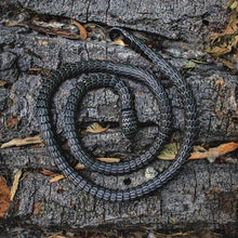 Load image into Gallery viewer, World Serpent Jormungandr Snake Necklace