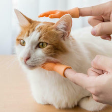 Load image into Gallery viewer, Funny Cat Massage Gloves