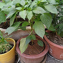 Load image into Gallery viewer, Plant Pot Grid Flower Pot Cover