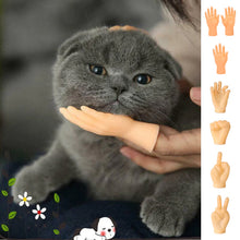 Load image into Gallery viewer, Funny Cat Massage Gloves